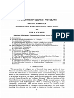 Collagen and Gelatin PDF