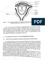 Conducta Fetal y sus interpretaciones.pdf