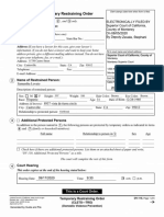 DV110 - Temporary Restraining Order Document PDF