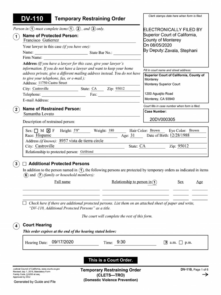 DV110 Temporary Restraining Order Document PDF Restraining Order