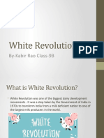 White Revolution: By-Kabir Rao Class-9B