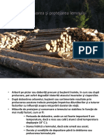 Conservare lemn