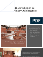 Tema II, Jurisdicción de Niños, Niñas y Adolescentes