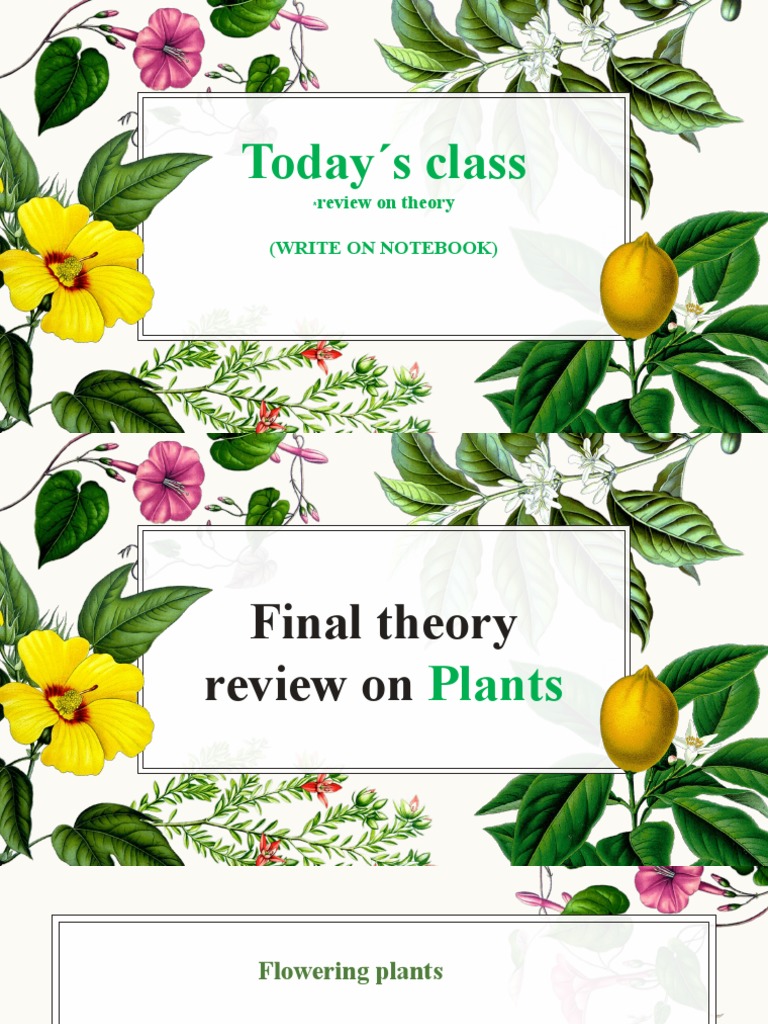 Today S Class: Review On Theory (Write On Notebook) | PDF | Home ...