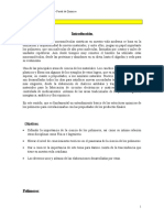Inf_Polimeros_Naturales.doc