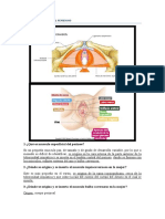 Triangulo Urogenital Femenino