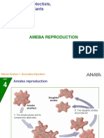 Ameba Reproduction: Natural Science 1. Secondary Education