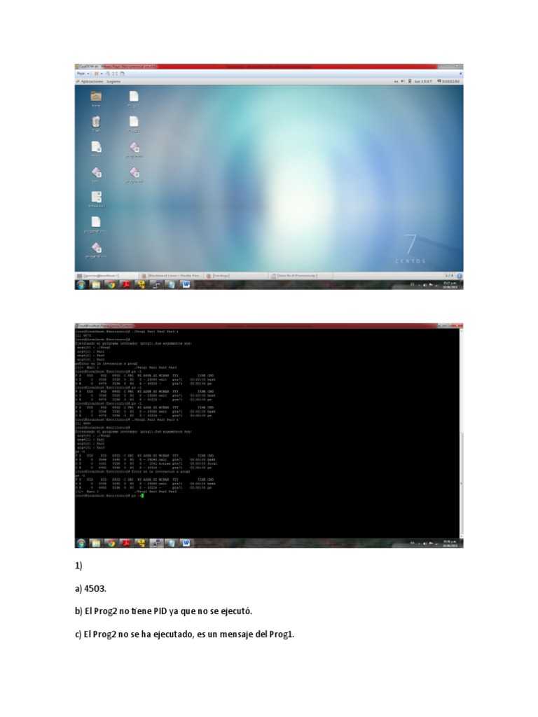 Guia 3 | PDF