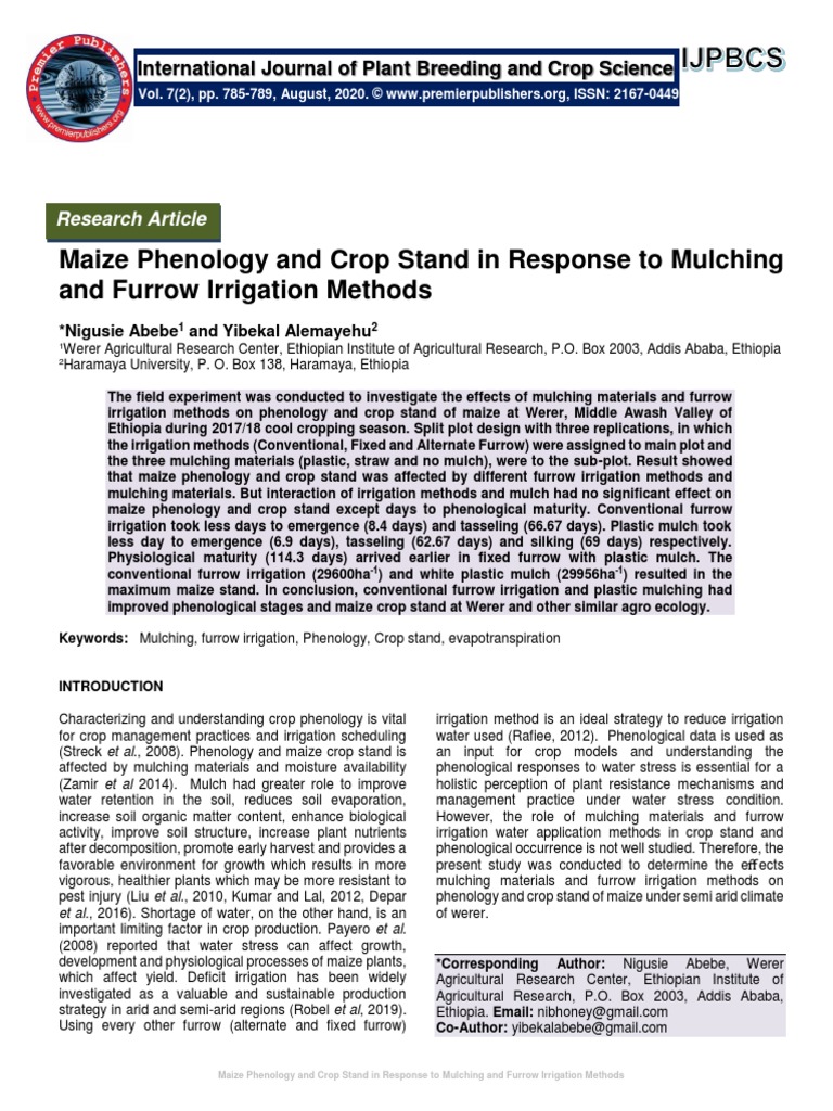 Maize Phenology and Crop Stand in Response To Mulching and Furrow Irrigation Methods PDF