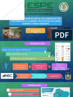 Examen Noroña C