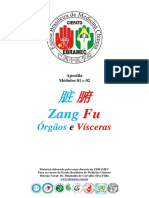 Teoria dos Órgãos e Vísceras da Medicina Chinesa (Zang Fu