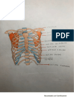 Física Carlos Javier.pdf