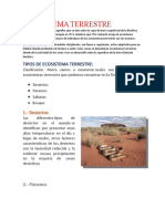 Tipos de Ecosistems