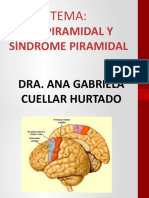 Via Piramidal y Sindrome Piramidal