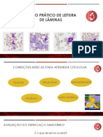 Curso prático de leitura de lâminas