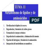 bioquimica.pdf