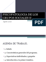 PSICOPATOLOGIA DE LOS GRUPOS SOCIALES II (1)