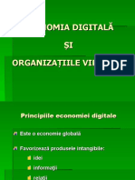 Organizatia Virtuala 200911