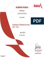 Actualizacin Estndares de Servicio 2019 - TC AV PDF