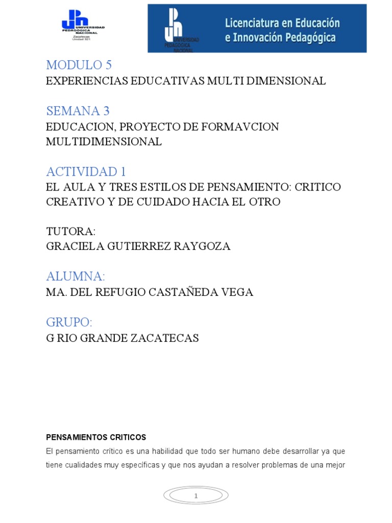 Estilos de Pensamiento en Educación | PDF | Pensamiento crítico | Evidencia