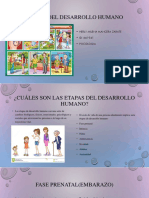 Etapas Del Desarrollo Humano PDF