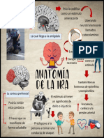 Ciclo Ira PDF