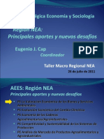 Script-Tmp-Aees Principales Aportes Nuevos Desafios Region Nea