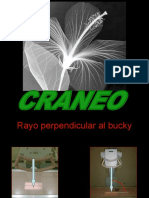 Proyecciones Radiograficas de Craneo