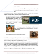 Escenario 1 Principal PERROS 2020 Versión 3 PDF
