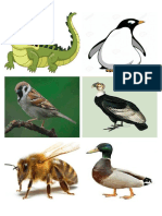 animales oviparos