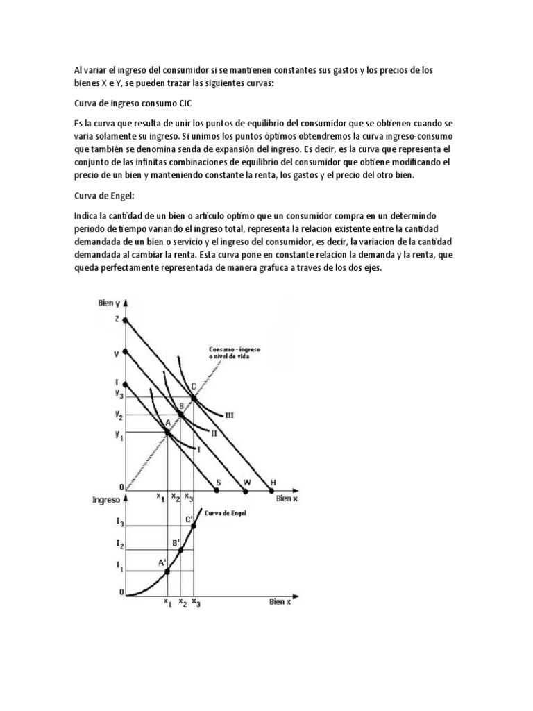 Curvas de Ingreso y Consumo | PDF