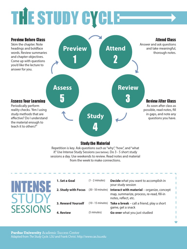 Mastering the Study Cycle for Success | PDF | Pedagogy | Psychological ...