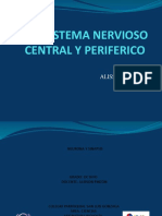 Sistema Nervioso Central y Periferico