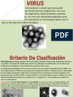 VIRUS.pdf