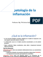 Inflamación Fisiopatología Visada PDF