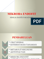 14 Mikroba Endofit