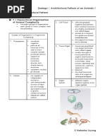 Chapter 9: Architectural Pattern of An Animal 9.1 Hierarchical Organization of Animal Complexity