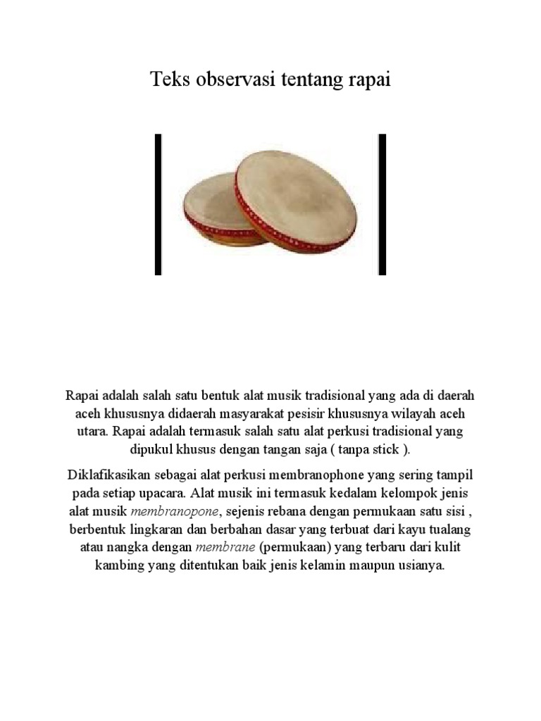 Observasi Alat Musik Tradisional Rapai | PDF
