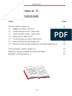 Unitatea de Invatare 13 PDF
