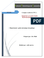 TP Couche Limite PDF