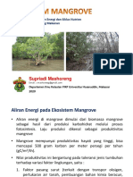 Pertemuan Ke 4 Aliran Energi Siklus Nutrien Dan Jaring Makanan