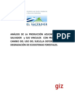 Análisis_de_la_producción_azucarera_de_El_Salvador__estudio_MARN_2012 (1).pdf