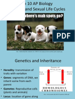 AP Bio CH 10 15 16