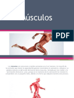 Musculos Fisiologia