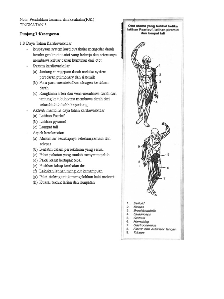 Nota pjk t.3