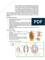 Introduccion - Poriferos