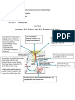 Mekanisme Pengaturan Hormon Tiroid