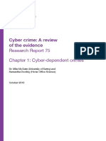 cyber dependant crime.pdf