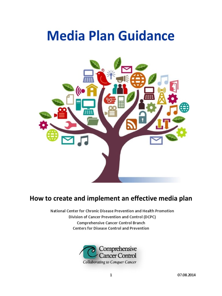 Media Plan Guidance 07 08 2014 | PDF | Mass Media | Social Media