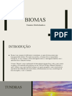 Os biomas da Tundra e Taiga: climas frios e vegetação adaptada